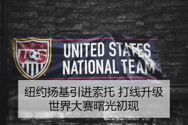 纽约扬基引进索托 打线升级 世界大赛曙光初现