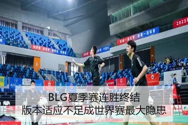xia-ji-sai-lian-sheng-zhong-jie-ban-ben-shi-ying-bu-zu-cheng-shi-jie-sai-zui-da-yin-huan-2-454.jpg